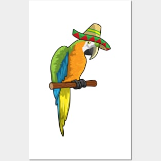 Parrot with Straw hat Posters and Art